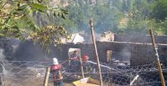 Yangınında çok sayıda hayvan telef oldu