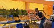 "Kayısının kilosu 6 liradan satılıyor"