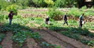 200 yıllık geleneği sürdüren köylüler hasta olmuyor