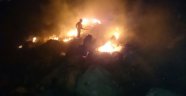 Orman yangınına 5 ekip müdahale etti
