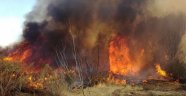 Orman yangını korkuttu
