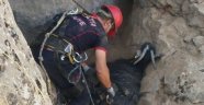 Kayalıklarda mahsur kalan keçiler kurtarıldı