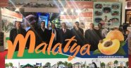 Malatya Tanıtım günleri İstanbul'da başladı