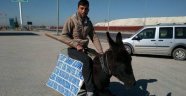 Akaryakıt zammı sonrası çareyi eşeğe binmekte buldu