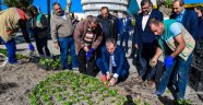 Çakır işçilerle birlikte çiçek dikti