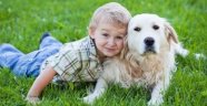 Köpeği olan kişiler daha uzun yaşıyor