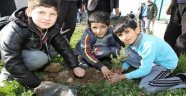 10 binin üzerinde fidan dikimi yapıldı