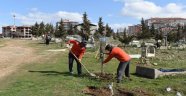Mezarlıklar yeşillendiriliyor