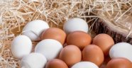 Yumurtada yeni dönem 1 Nisan'da başlıyor
