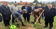 Şehit Pilotlar Adına Hatıra Ormanı Oluşturuldu