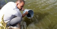 Göletlere 110 bin yavru balık bırakıldı