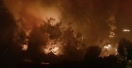 Orman yangını paniğe neden oldu