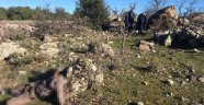 On gündür kayıptı ölü olarak bulundu