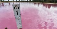 Avustralya'da bir göl pembe renge büründü