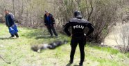Kayıp sürücünün cesedine ulaşıldı