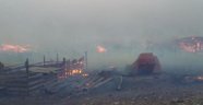Çin'de başlayan orman yangını Rusya'ya sıçradı