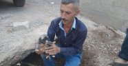 Mahsur kalan yavru köpek için seferber oldular