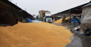 Buğday pazarında zarar büyük