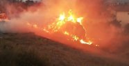 Üç ilçede anız ve ot yangını