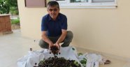 Kiraz üreticisi sezonda memnun