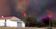 Portekiz'de orman yangınları kontrol altına alındı