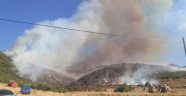 Afyon'da orman yangını