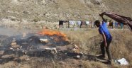 Sivas'ta 50 dönüm otluk alan yandı