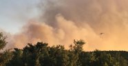 Eskişehir'de orman yangını