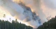 Alaska'da orman yangını yerleşim yerlerine sıçradı