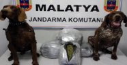 Malatya'da jandarmadan uyuşturucu ve kaçak sigara operasyonu