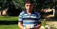 Niğde'de trafik kazası: 1 ölü, 2 yaralı