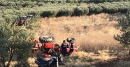 Devrilen traktörün altında kalarak hayatını kaybetti