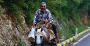 60 yıldır at üstünde elma satıyor