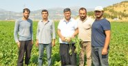 Yüksek rekolte yüksek maliyet