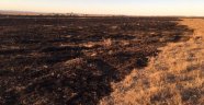 300 dönümlük mera yangında kül oldu