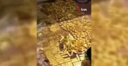 Çin'de belediye başkanının evinde 13.5 ton altın bulundu