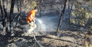 Hatay'da orman yangını