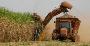 Paraguay'da çiftçiler protesto gösterilerine hazırlanıyor