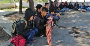 16 kaçak göçmen yakalandı