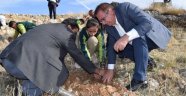 Seyir Terası'nda fidan dikimi
