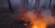 Kastamonu'da 4 hektarlık ormanlık alan yandı