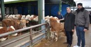 "Dayanacak gücümüz kalmadı"