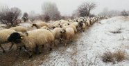 Sivas'ta kar hayvancılıkla uğraşanlara zor anlar yaşatıyor