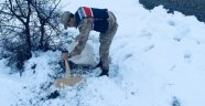 Yaban hayvanlarına Jandarma şefkati