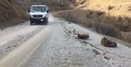 Kaya parçaları yolu kapattı