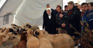 "Kalıcı konut yapımına başlayacağız"