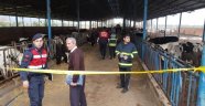 Yem makinesinin şaftına kapılan çocuk öldü