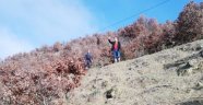 Zihinsel engelli yaşlı adam ormanda ölü bulundu