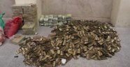 Afganistan'da 59 bin 900 mermi ele geçirildi