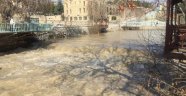 Tohma Çayı çamur akıyor!